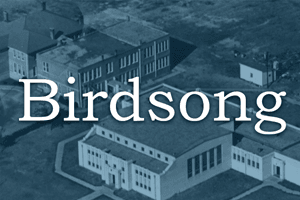 birdsong announcement